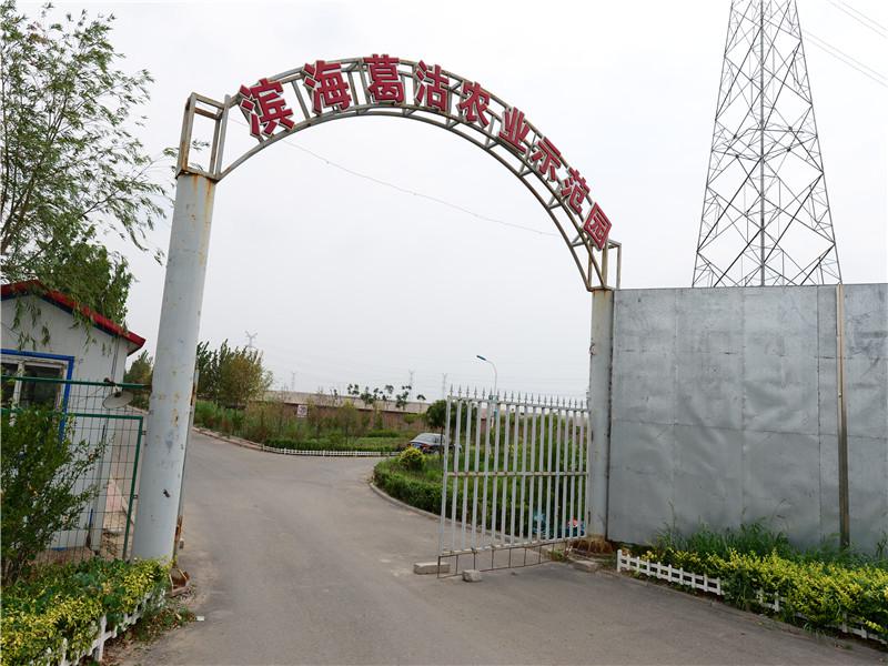 天津滨海葛沽农业示范园