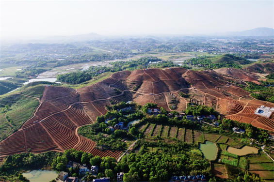 湘东漫漫红土为底色 绘出乡村振兴图